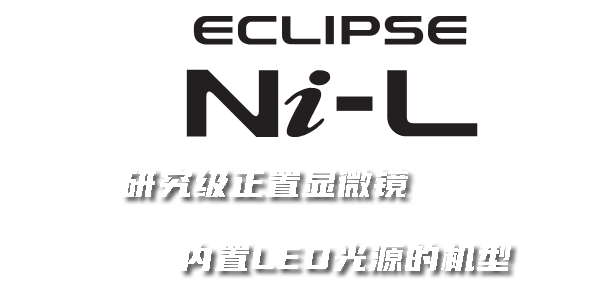 澳门2024最新饮料大全
