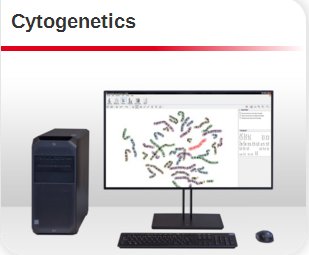 Cytogenetics