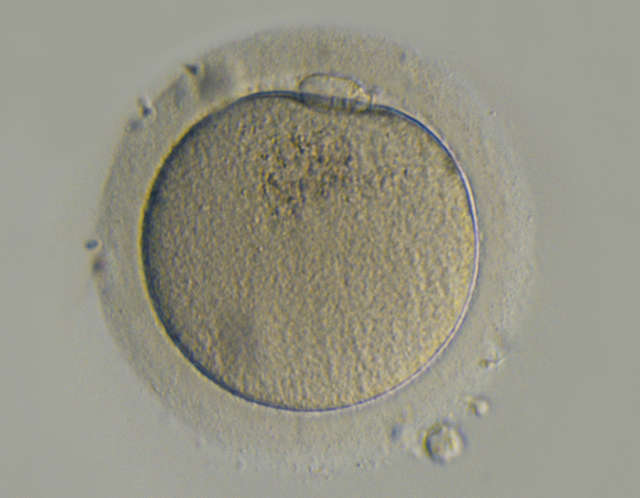 TS2R-emboss_eab673.jpg